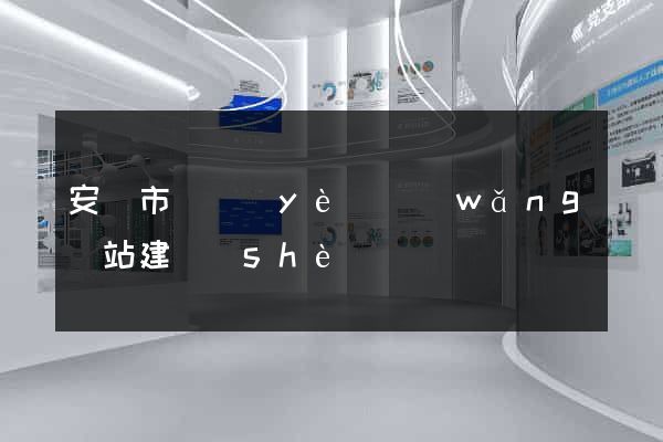 安慶市專業(yè)網(wǎng)站建設(shè)