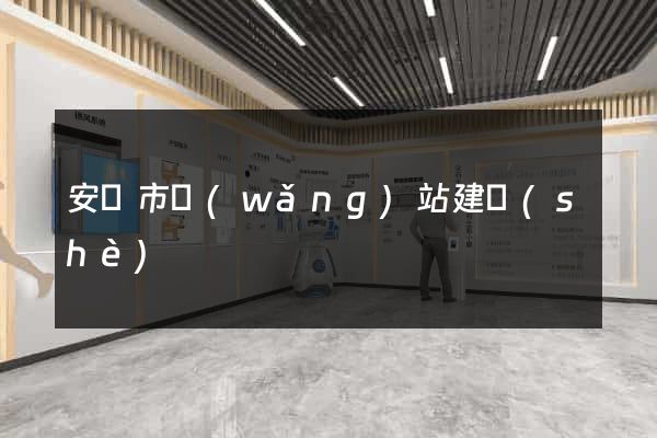 安慶市網(wǎng)站建設(shè)