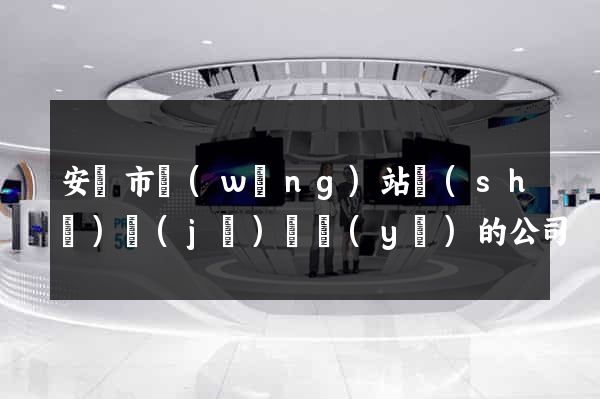 安慶市網(wǎng)站設(shè)計(jì)專業(yè)的公司