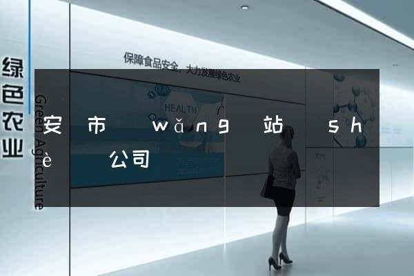 安慶市網(wǎng)站設(shè)計公司