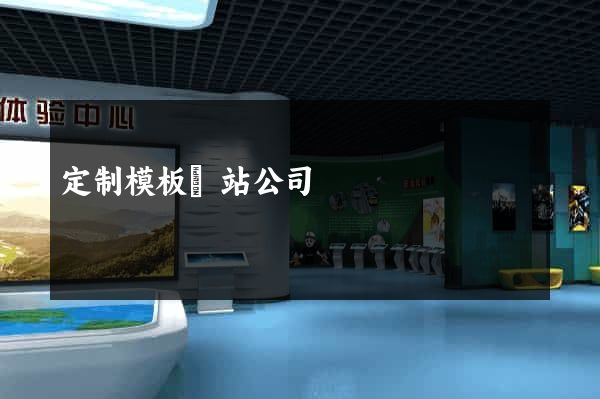 定制模板網站公司