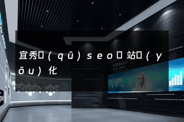 宜秀區(qū)seo網站優(yōu)化