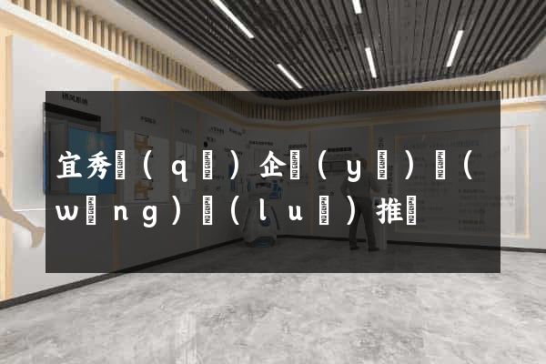 宜秀區(qū)企業(yè)網(wǎng)絡(luò)推廣