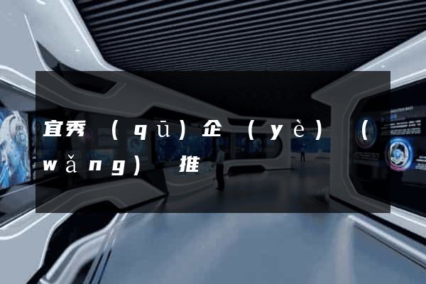宜秀區(qū)企業(yè)網(wǎng)絡推廣