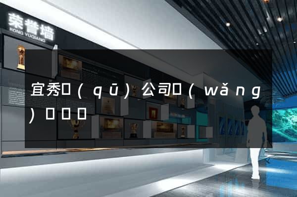 宜秀區(qū)公司網(wǎng)頁設計