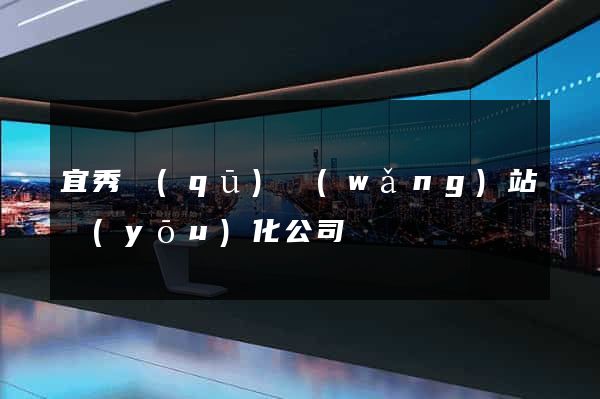 宜秀區(qū)網(wǎng)站優(yōu)化公司