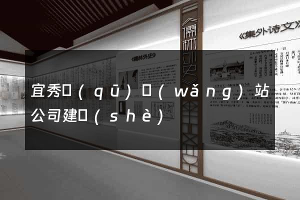 宜秀區(qū)網(wǎng)站公司建設(shè)