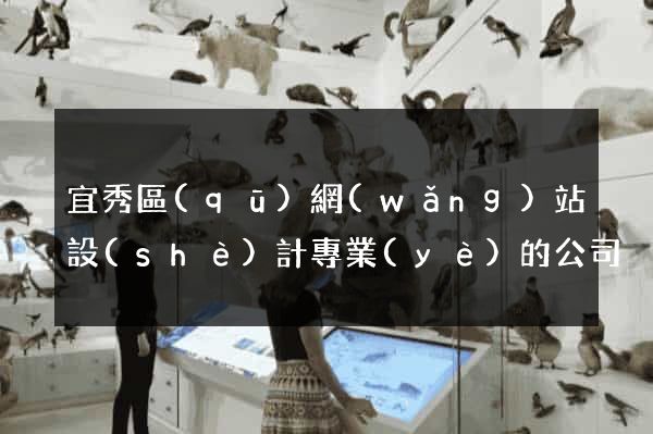 宜秀區(qū)網(wǎng)站設(shè)計專業(yè)的公司