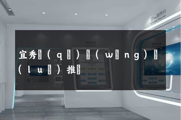 宜秀區(qū)網(wǎng)絡(luò)推廣