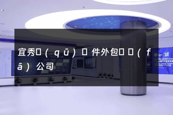 宜秀區(qū)軟件外包開發(fā)公司