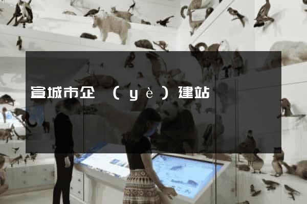 宣城市企業(yè)建站