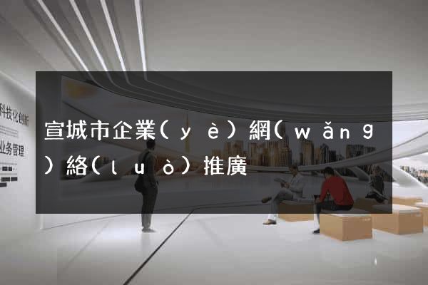 宣城市企業(yè)網(wǎng)絡(luò)推廣
