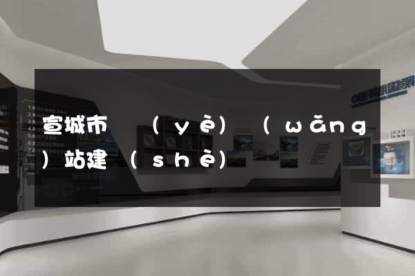 宣城市專業(yè)網(wǎng)站建設(shè)