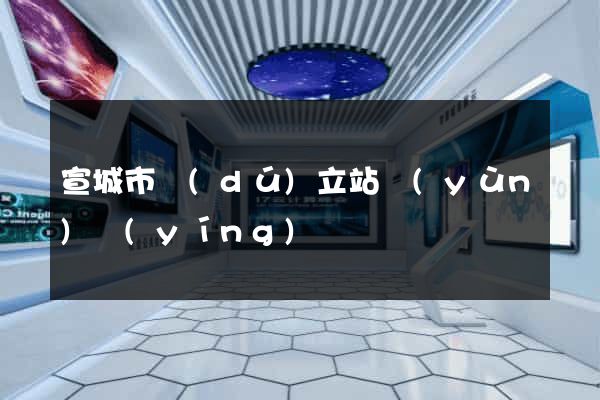 宣城市獨(dú)立站運(yùn)營(yíng)
