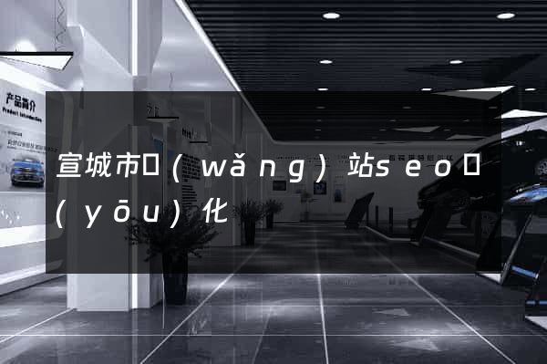宣城市網(wǎng)站seo優(yōu)化