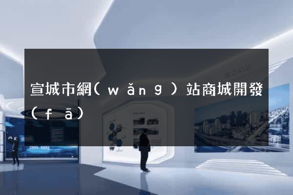 宣城市網(wǎng)站商城開發(fā)