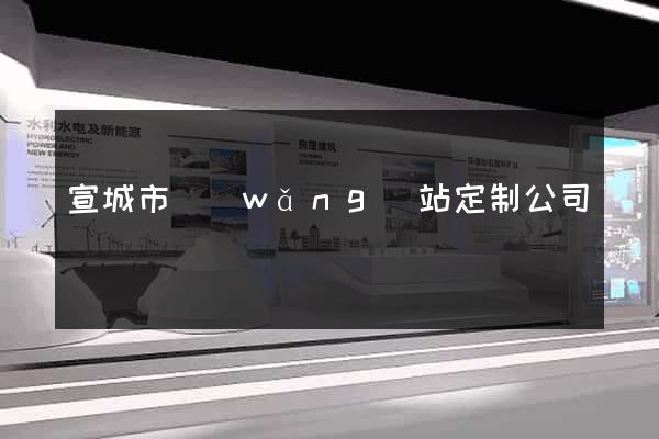 宣城市網(wǎng)站定制公司