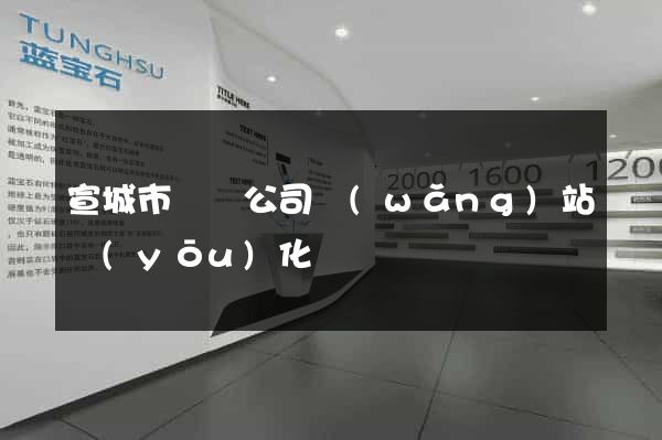 宣城市設計公司網(wǎng)站優(yōu)化