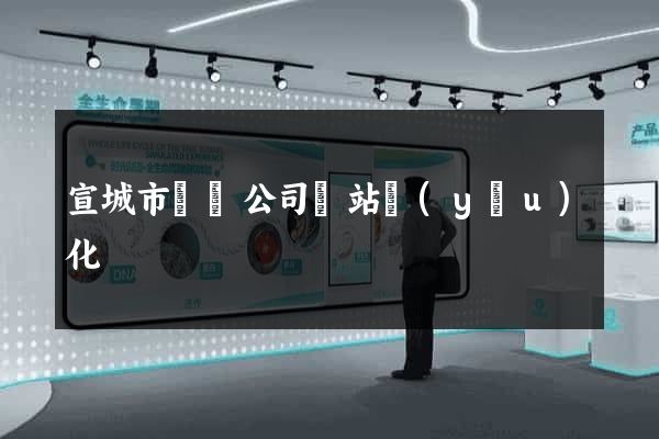 宣城市設計公司網站優(yōu)化
