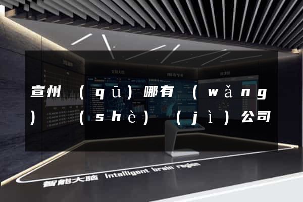 宣州區(qū)哪有網(wǎng)頁設(shè)計(jì)公司