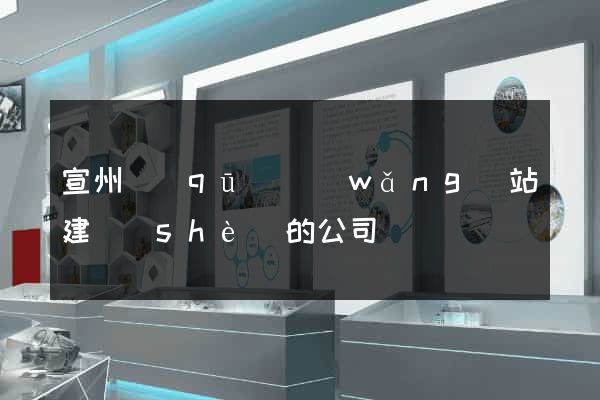 宣州區(qū)網(wǎng)站建設(shè)的公司