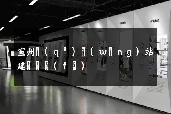 宣州區(qū)網(wǎng)站建設開發(fā)