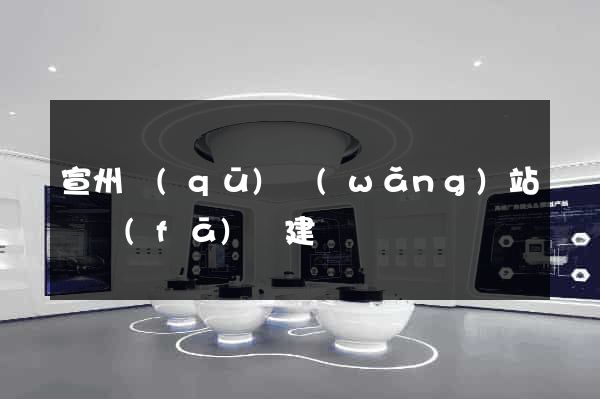 宣州區(qū)網(wǎng)站開發(fā)與建設