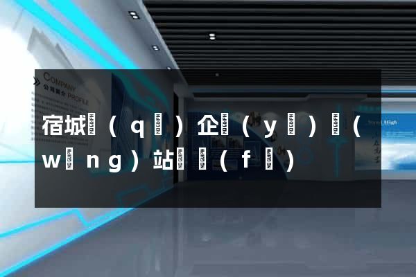 宿城區(qū)企業(yè)網(wǎng)站開發(fā)