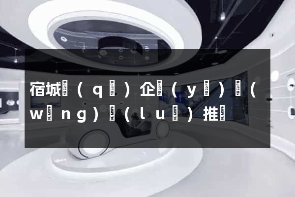 宿城區(qū)企業(yè)網(wǎng)絡(luò)推廣