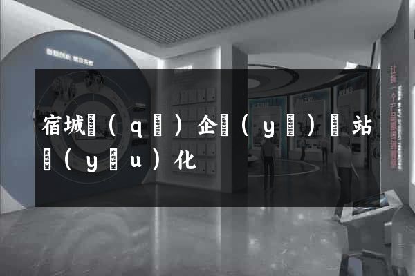 宿城區(qū)企業(yè)網站優(yōu)化