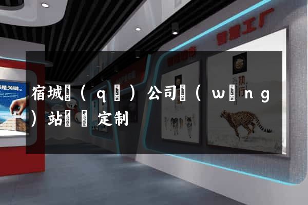 宿城區(qū)公司網(wǎng)站設計定制