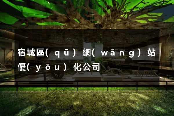 宿城區(qū)網(wǎng)站優(yōu)化公司
