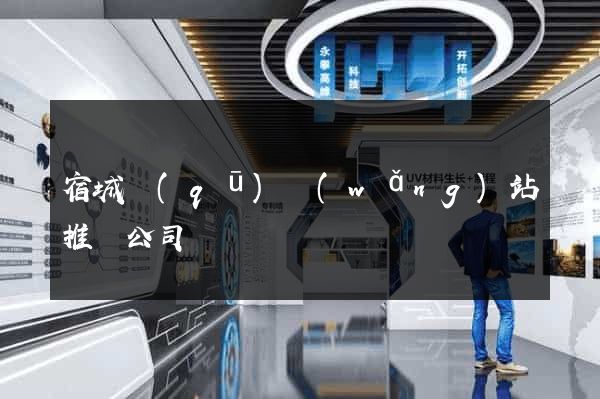 宿城區(qū)網(wǎng)站推廣公司