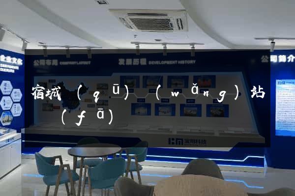 宿城區(qū)網(wǎng)站開發(fā)
