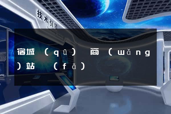 宿城區(qū)電商網(wǎng)站開發(fā)