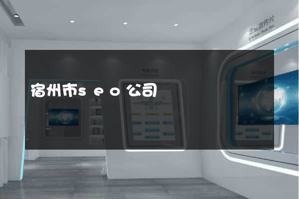 宿州市seo公司
