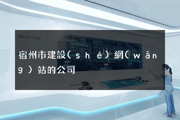 宿州市建設(shè)網(wǎng)站的公司