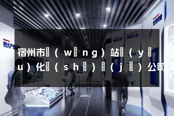 宿州市網(wǎng)站優(yōu)化設(shè)計(jì)公司