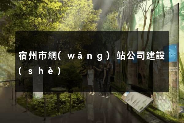 宿州市網(wǎng)站公司建設(shè)