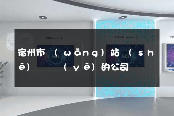 宿州市網(wǎng)站設(shè)計專業(yè)的公司