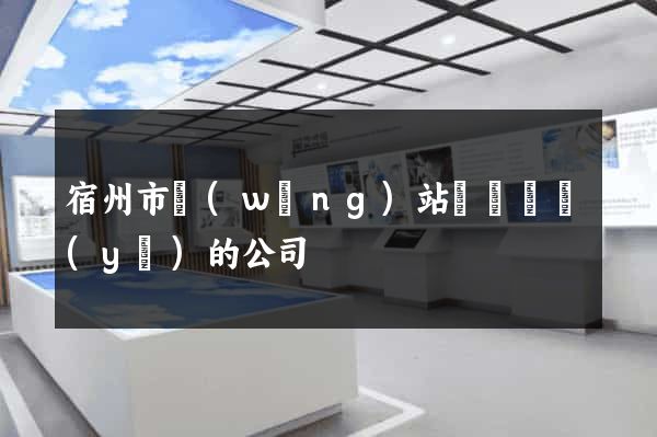 宿州市網(wǎng)站設計專業(yè)的公司