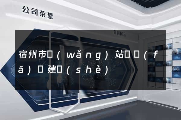 宿州市網(wǎng)站開發(fā)與建設(shè)