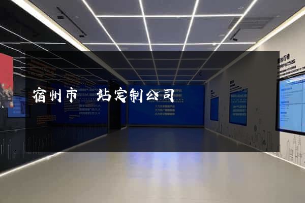 宿州市網站定制公司