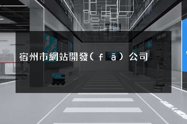 宿州市網站開發(fā)公司