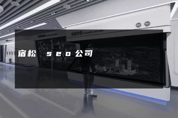 宿松縣seo公司
