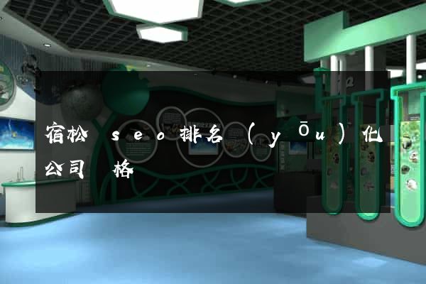 宿松縣seo排名優(yōu)化公司價格