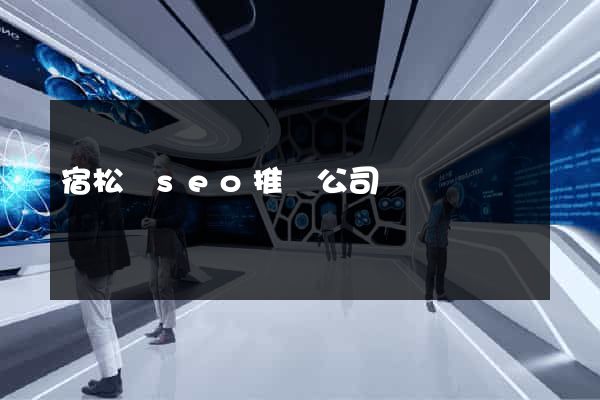 宿松縣seo推廣公司