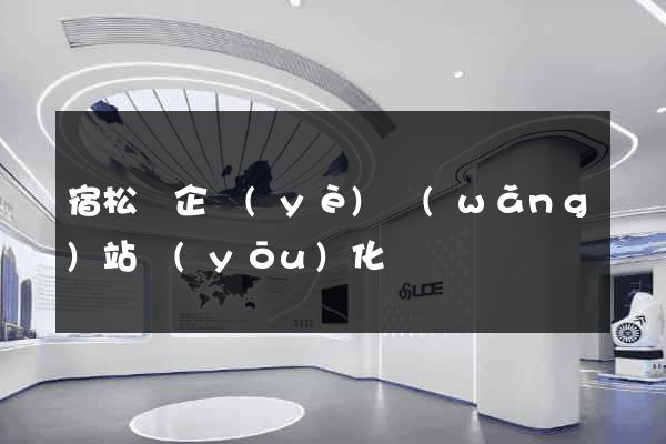 宿松縣企業(yè)網(wǎng)站優(yōu)化