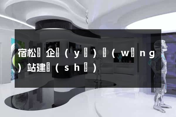 宿松縣企業(yè)網(wǎng)站建設(shè)
