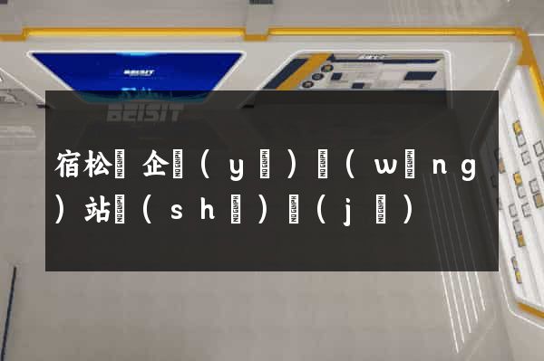 宿松縣企業(yè)網(wǎng)站設(shè)計(jì)